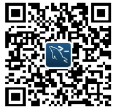 Screen Shot 20200407 at 09.03.03.png