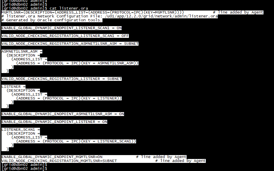 12c rac asm db 